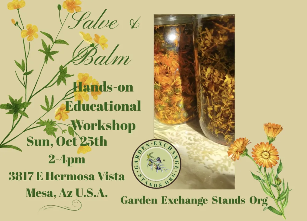 Salve & Balm Hands-on Workshop